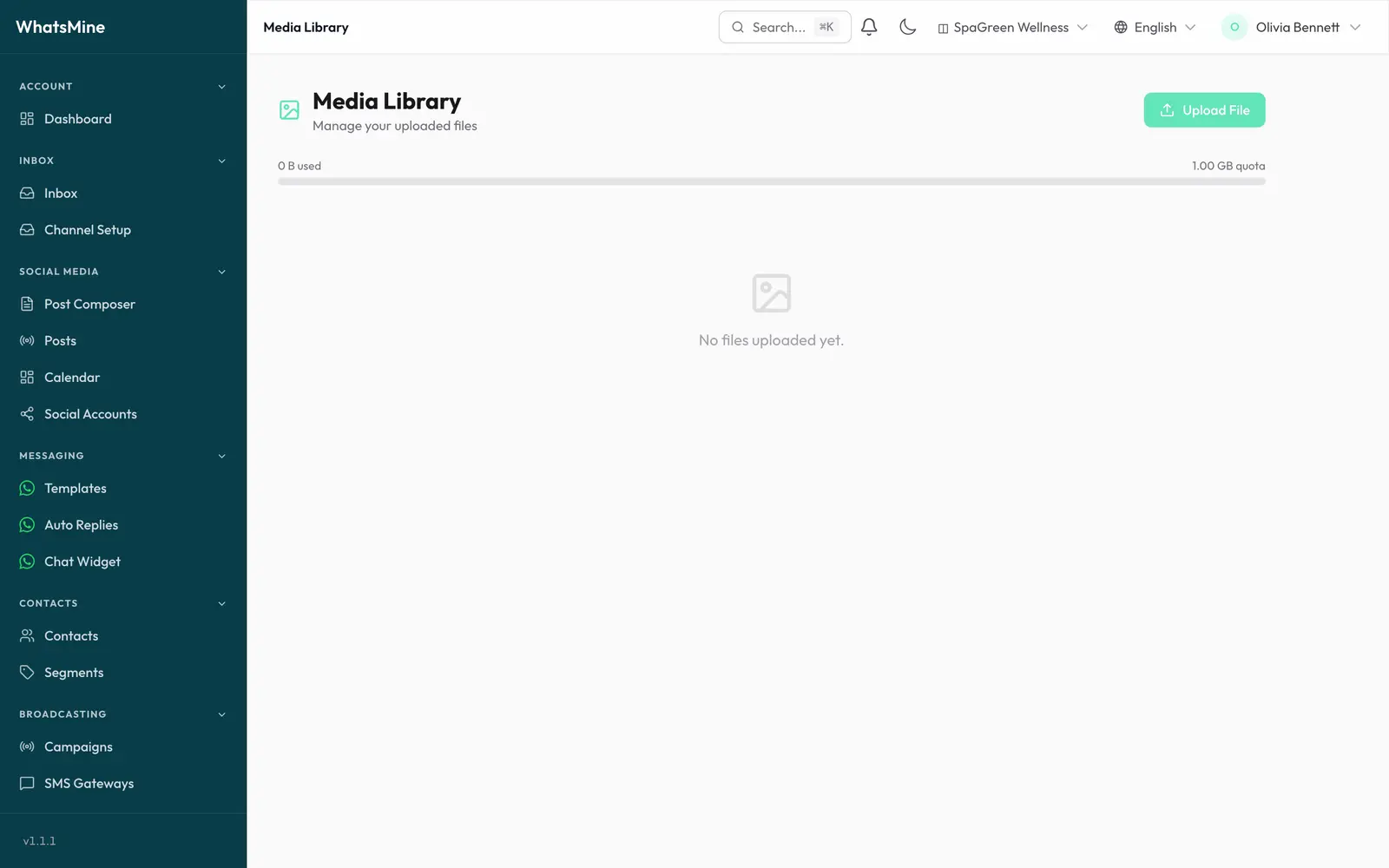 The Media Library with uploaded files and the storage usage bar